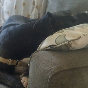 Meet your Posher, Kimberley