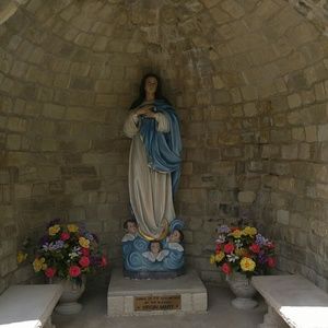 Meet your Posher, Maxie