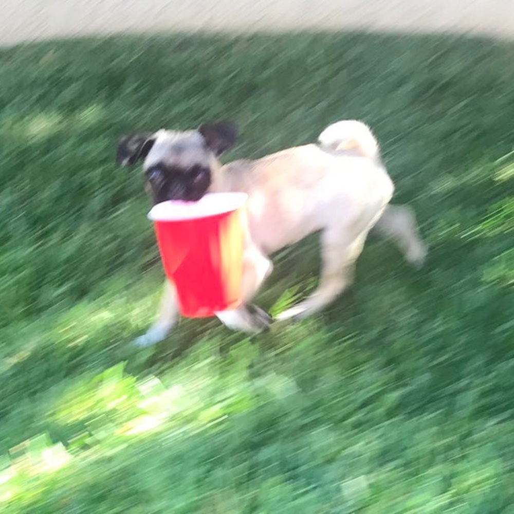 Meet your Posher, Luke