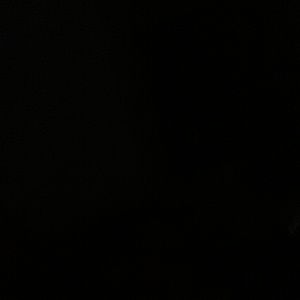 Meet your Posher, Kenesha