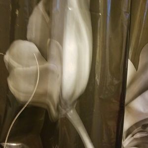 Meet your Posher, Phyllis