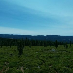 Meet your Posher, Miguel