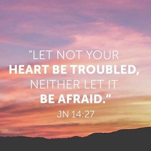 Meet your Posher, Shellina