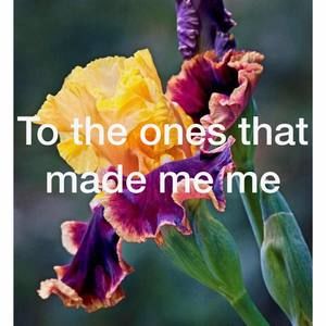 Meet your Posher, Jennie