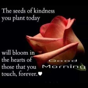 Meet your Posher, Moya