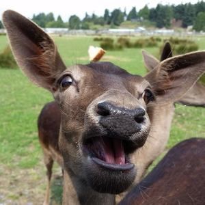 Meet your Posher, Christopher