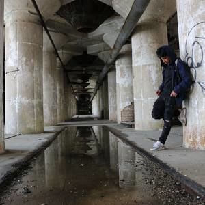 Meet your Posher, Oscar