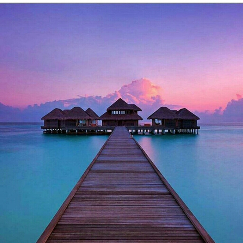 Meet your Posher, Armoni'