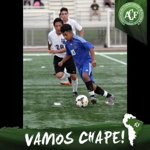 Meet your Posher, Alan