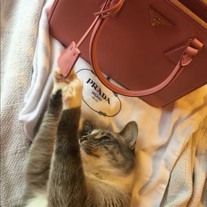 Meet your Posher, Katherine