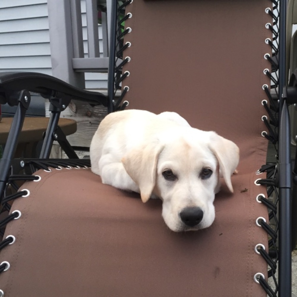 Meet your Posher, Jill