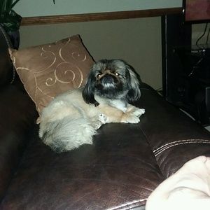 Meet your Posher, Chantel