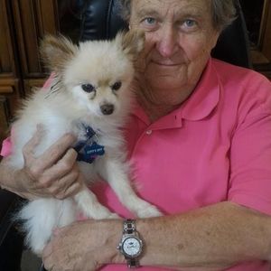 Meet your Posher, Tommy