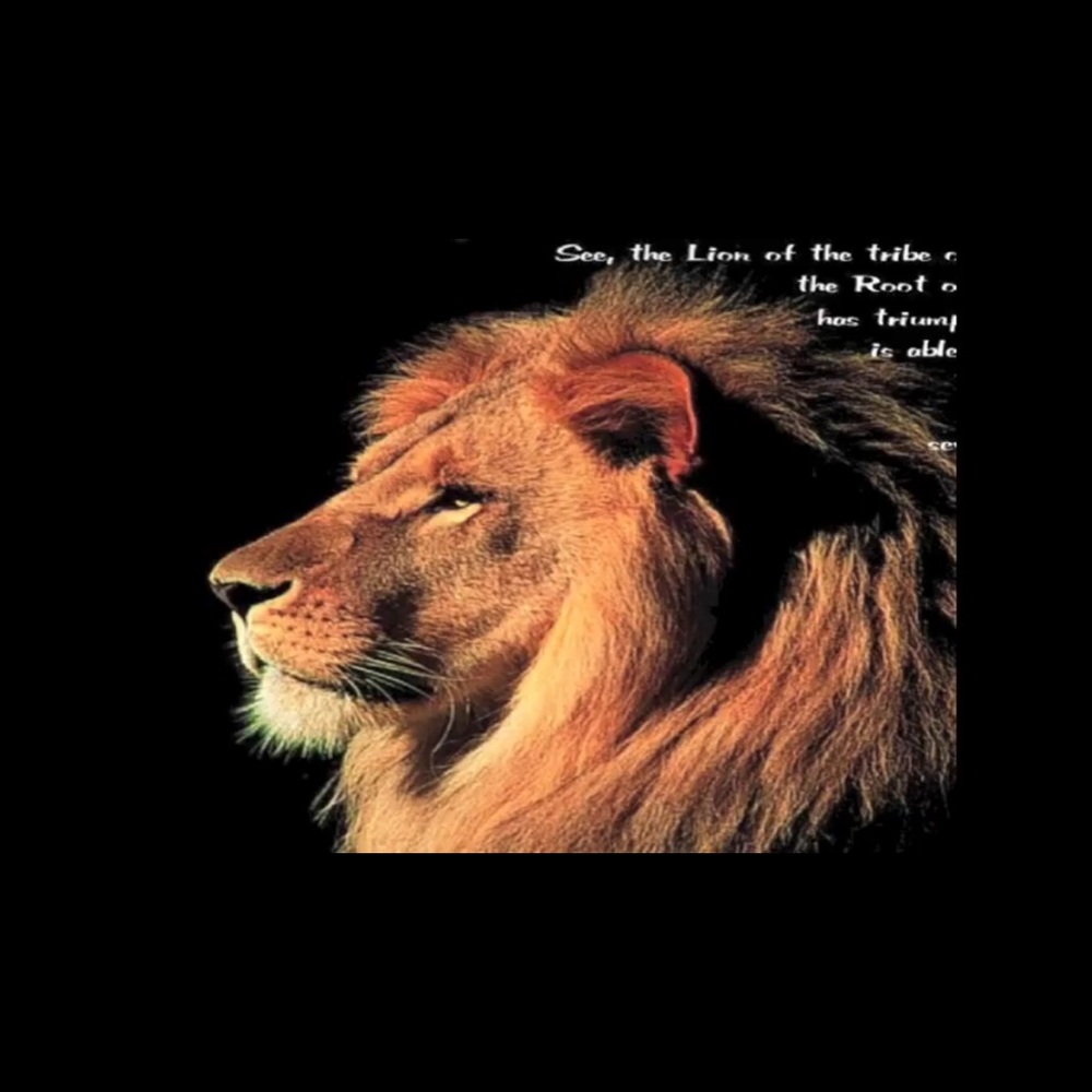 Meet your Posher, Verena