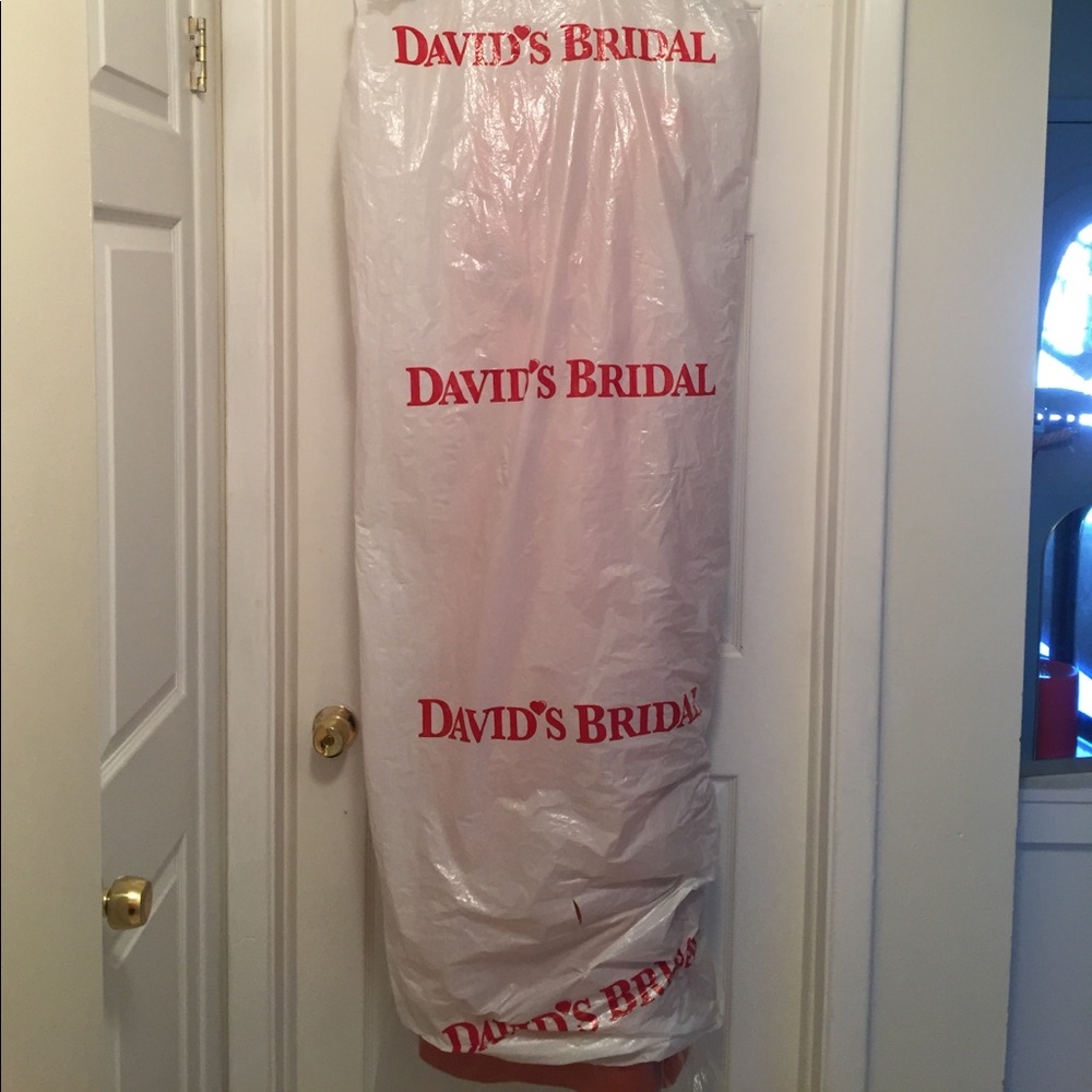 Strapless Terra-cotta Colored Dress - NEW!