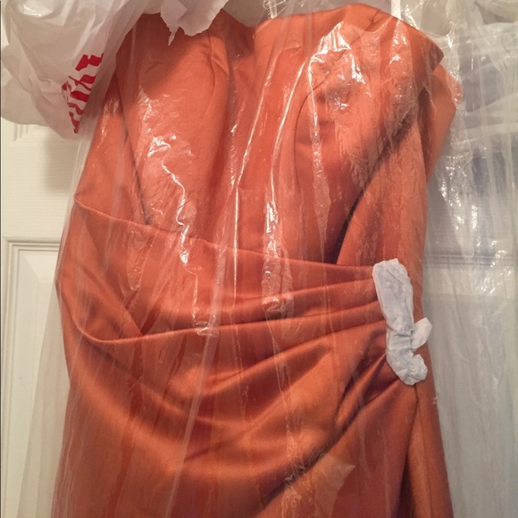 Strapless Terra-cotta Colored Dress - NEW! - Picture 4 of 4