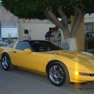 Meet your Posher, Roland