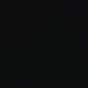 Meet your Posher, Teddy