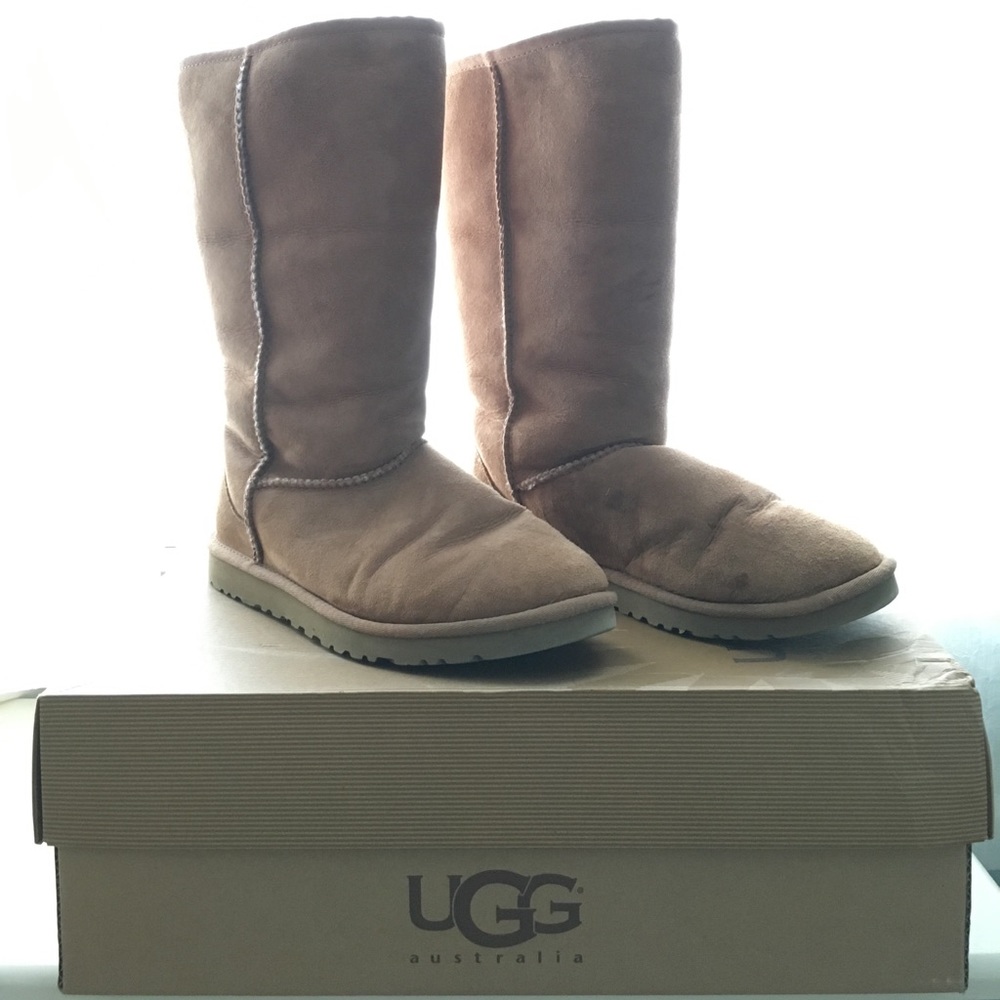 Chestnut Tall UGG