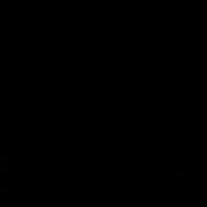 Meet your Posher, Annamarie