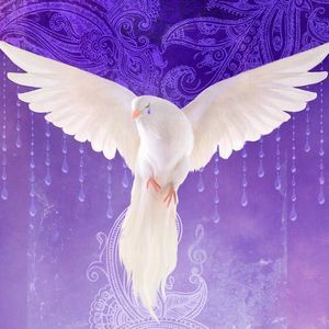 Meet your Posher, Deborah