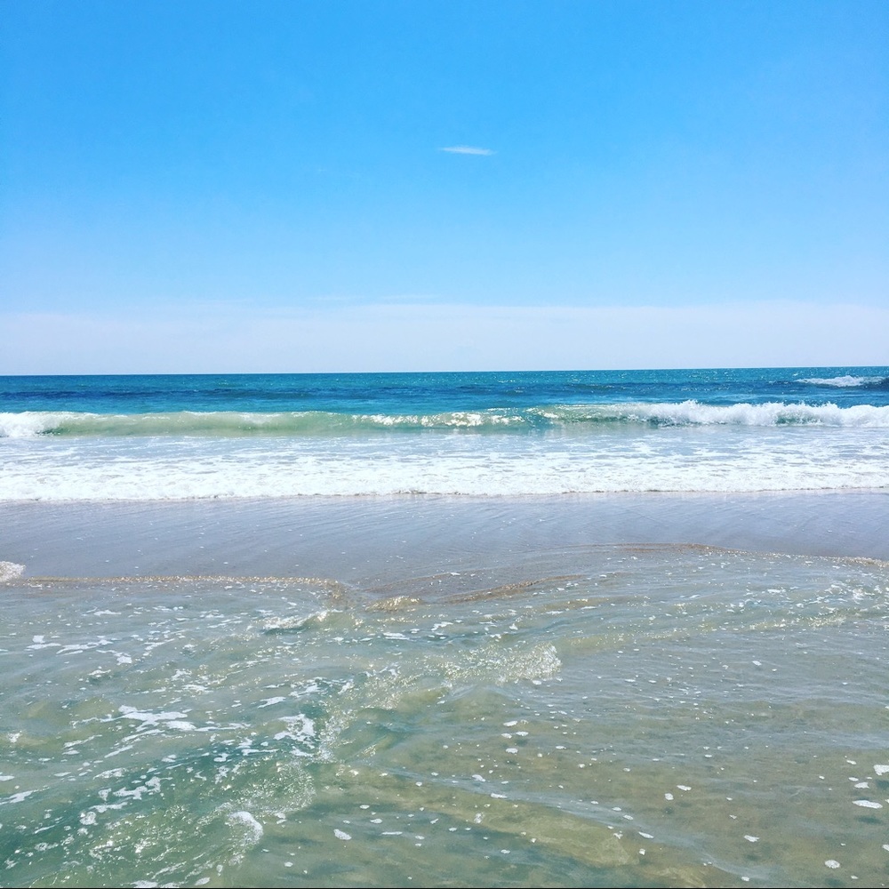 Meet your Posher, Elexis