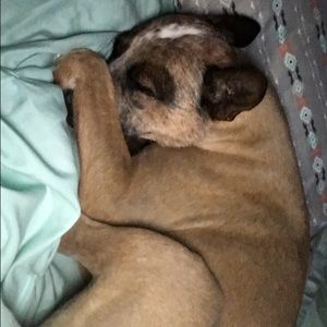 Meet your Posher, Christina