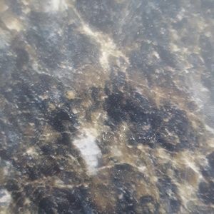 Meet your Posher, Kyler