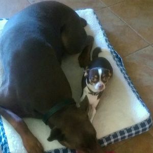 Meet your Posher, Astrid