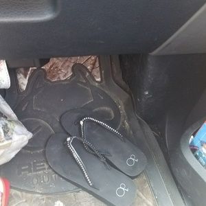 Meet your Posher, Ginger