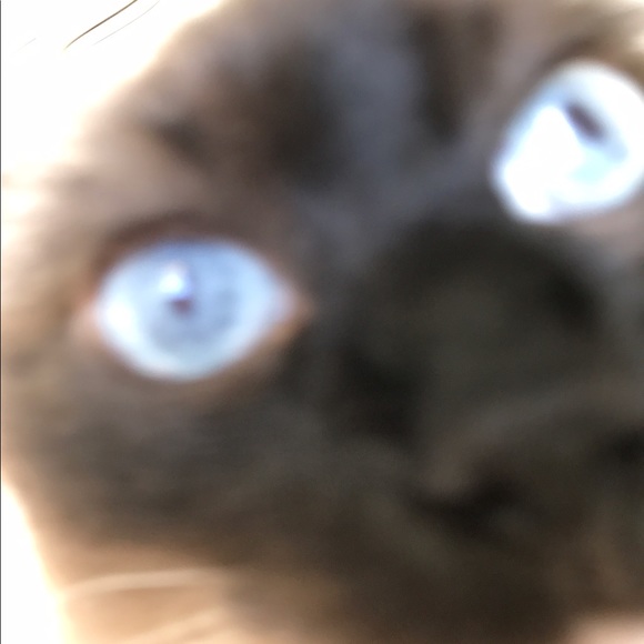 Meet your Posher, May - Picture 1 of 1