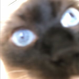 Meet your Posher, May