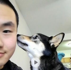 Meet your Posher, Xiaowei