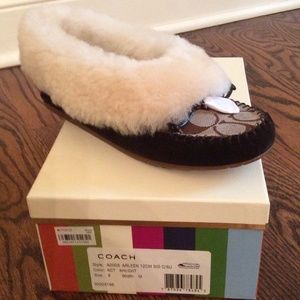 Coach Slippers
