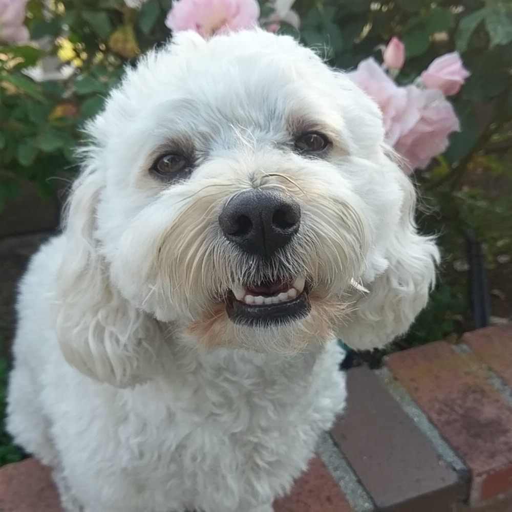 ⭐️ Offers Welcomed! ⭐️