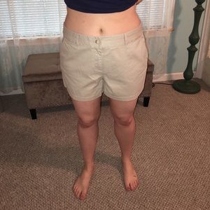 NWT Loft khaki shorts