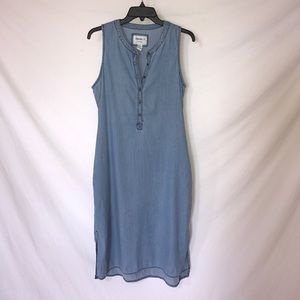 Pinstripe Denim Dress