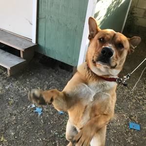 Meet your Posher, Olivia