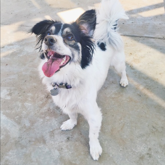 Meet your Posher, Heather - Picture 5 of 5