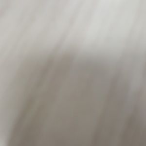 Meet your Posher, Toni