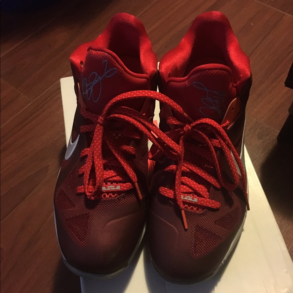 Lebron 9 low