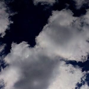 Meet your Posher, Rylee