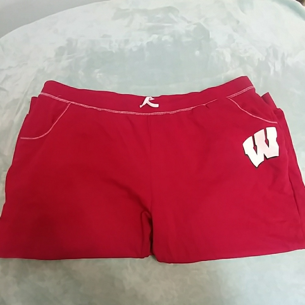 Wi Badger Sweats