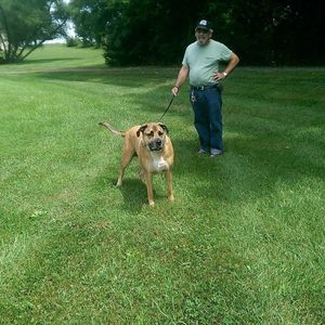 Meet your Posher, Debby