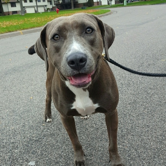 Meet your Posher, Ratana - Picture 1 of 1