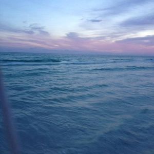 Meet your Posher, Elana