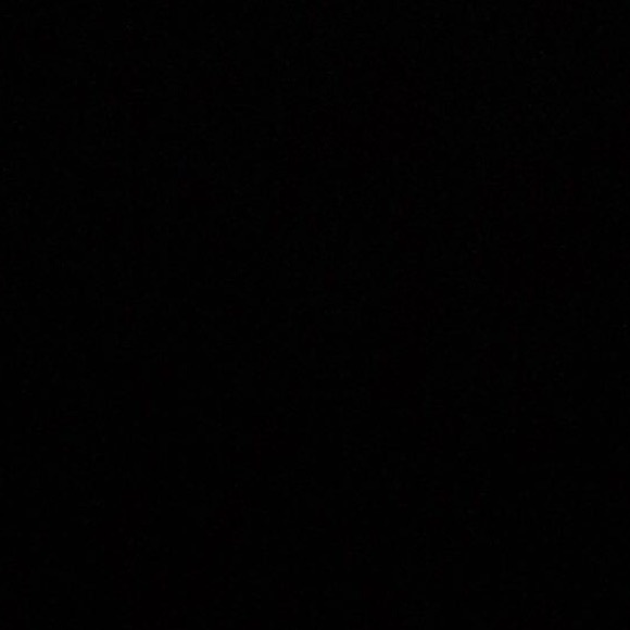 Meet your Posher, Rylee - Picture 1 of 1