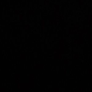 Meet your Posher, Rylee