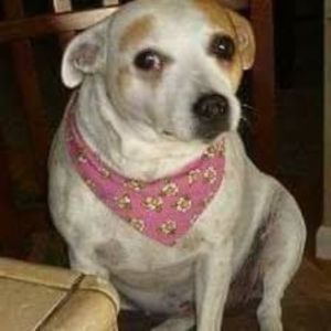 Meet your Posher, Cherrie