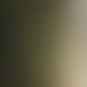 Meet your Posher, Ellen